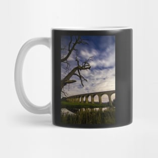 River Wharfe and Arthington Viaduct under Moonlight Mug